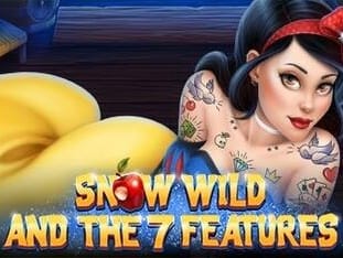 Snow Wild And The 7 Features